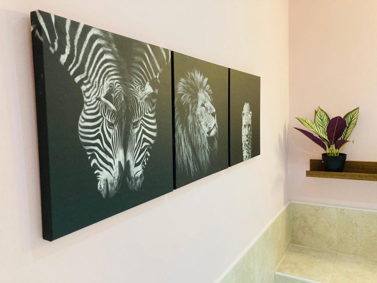 Jungle Escape, City Apartment With Parking & Terrace Chester Exterior photo